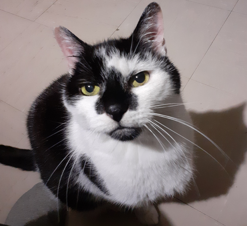 Photo de gribouille