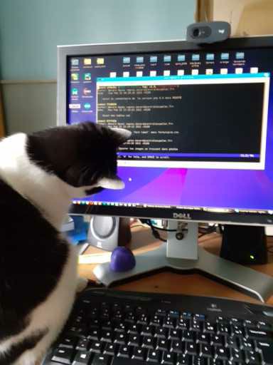 Photo de Gribouille