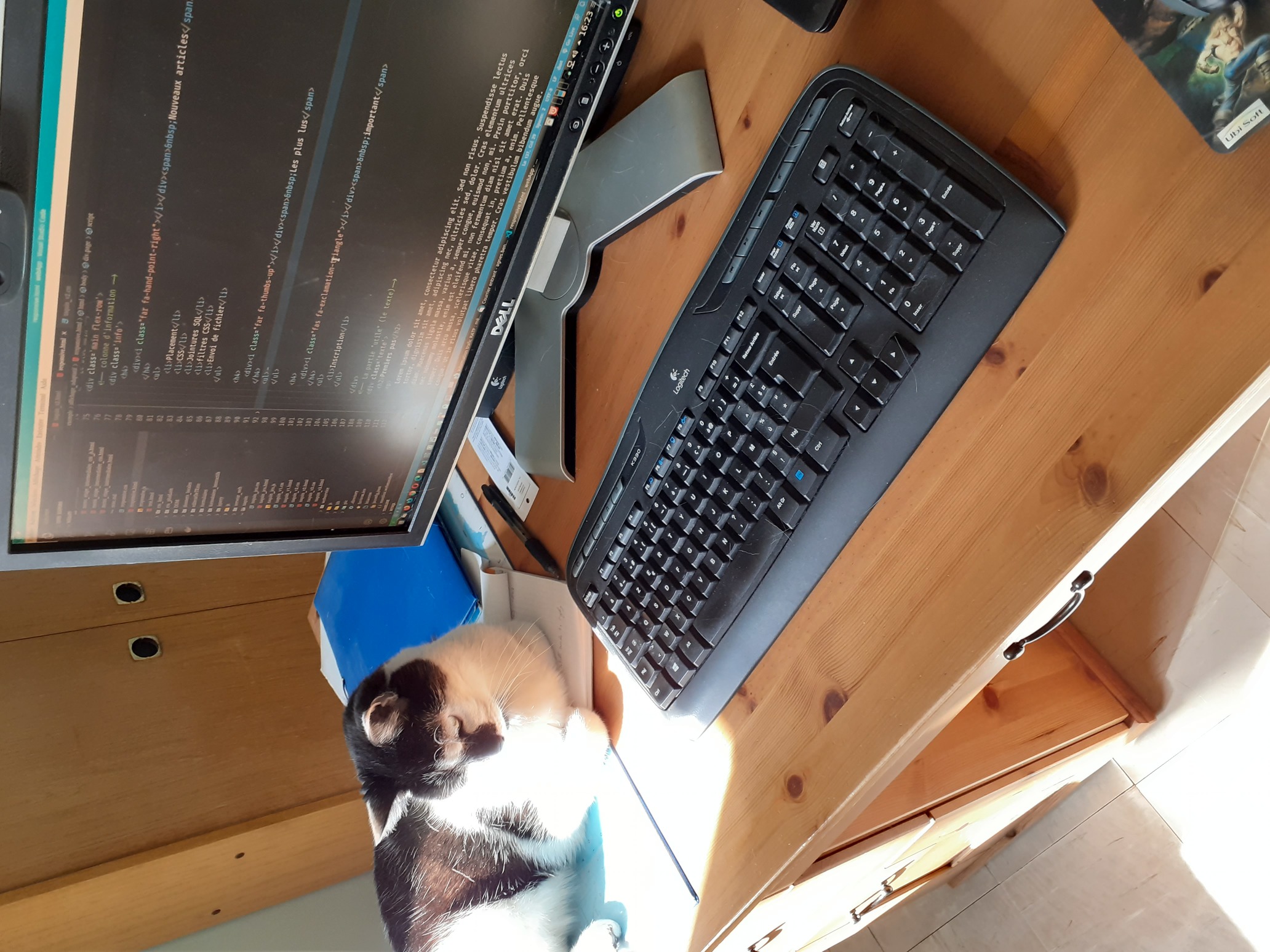 Photo de Gribouille