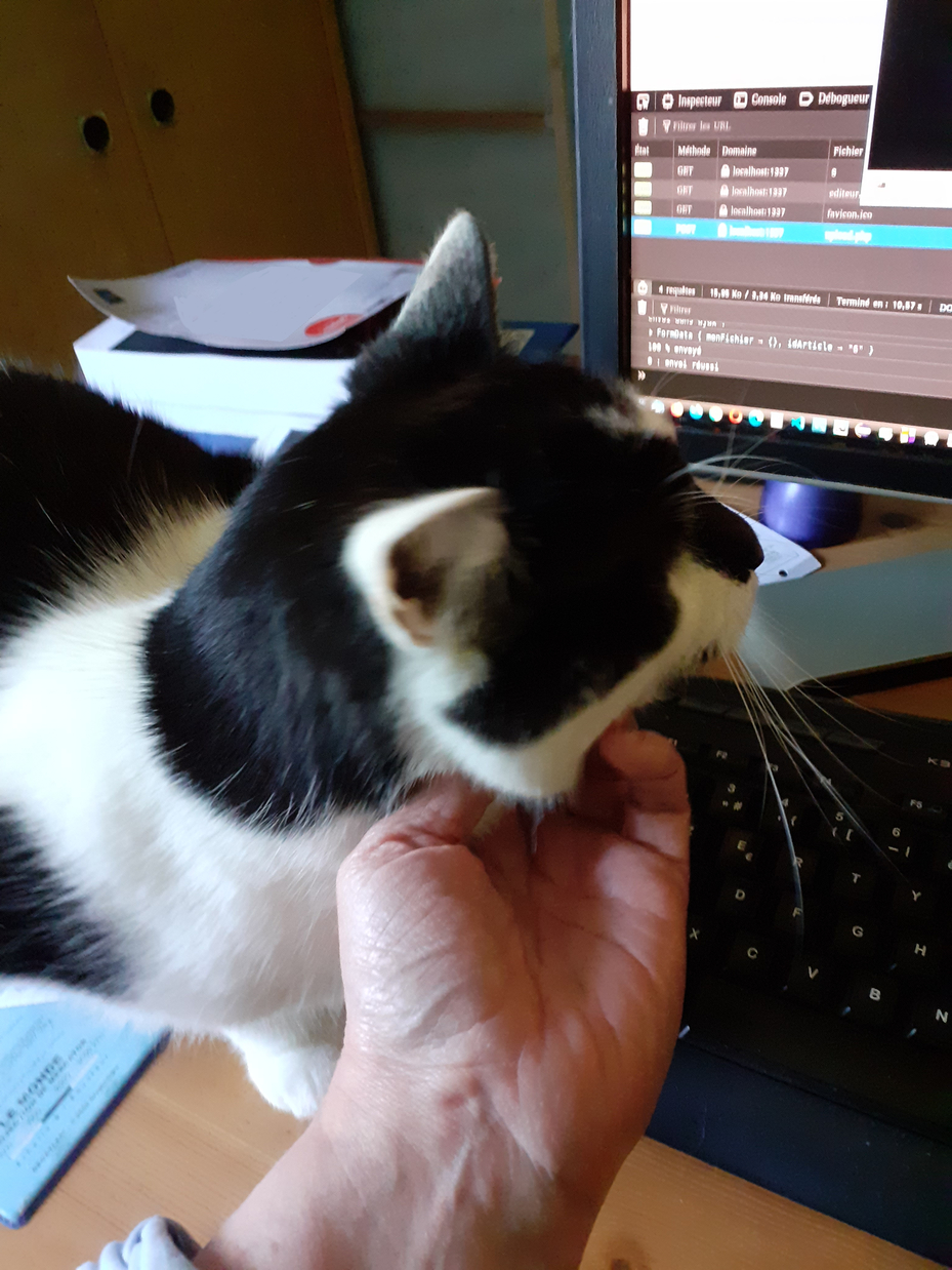 Photo de Gribouille