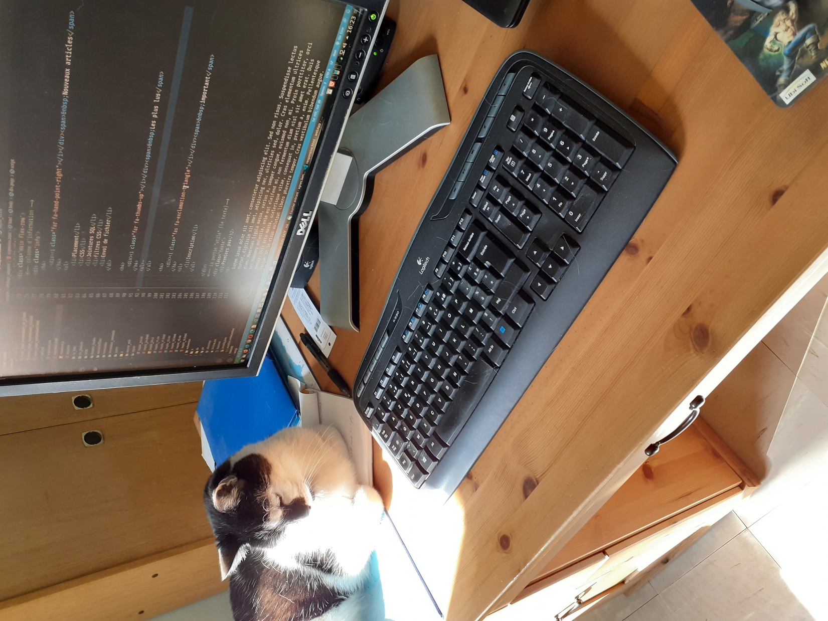 Photo de Gribouille